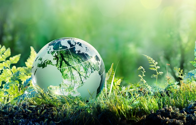 Green globe in forest