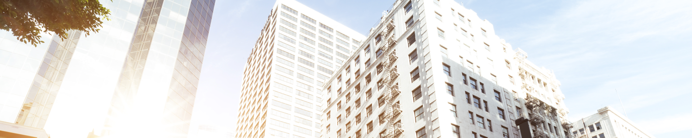 Renaissance Private Investment Program Banner
