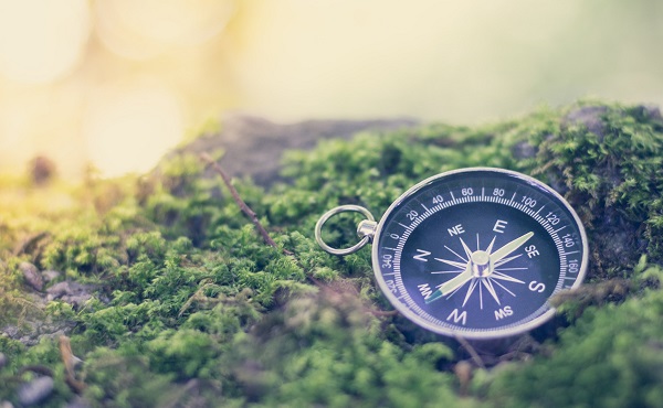A compass laid on moss.