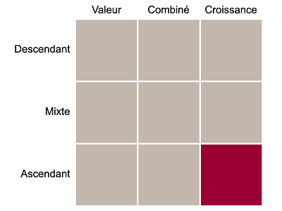 Charte de style : ascendante et croissance