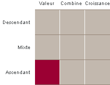 La boîte de style de placement est une représentation graphique des catégories de placement dans lesquelles un gestionnaire de placements investit.