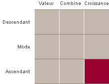 La boîte de style de placement est une représentation graphique des catégories de placement dans lesquelles un gestionnaire de placements investit.