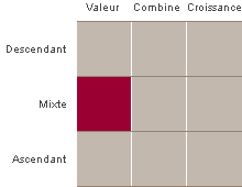 La boîte de style de placement est une représentation graphique des catégories de placement dans lesquelles un gestionnaire de placements investit.