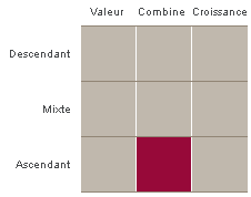 La boîte de style de placement est une représentation graphique des catégories de placement dans lesquelles un gestionnaire de placements investit.